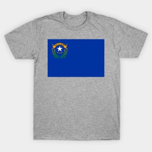 Flag of Nevada T-Shirt